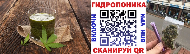 Canna-Cookies марихуана OMG ссылки Дагестанские Огни продажа наркотиков