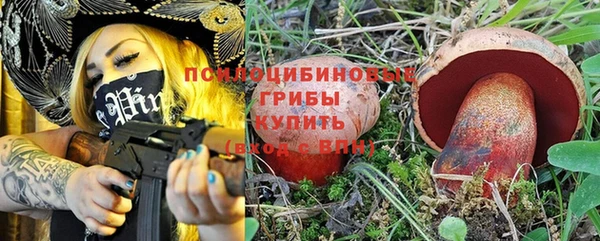 ешки Иннополис
