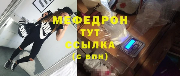 гидра Инсар