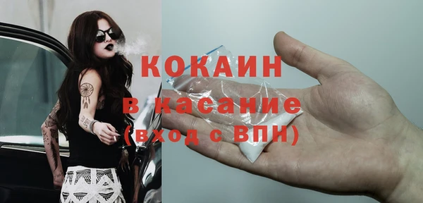 амф Бородино