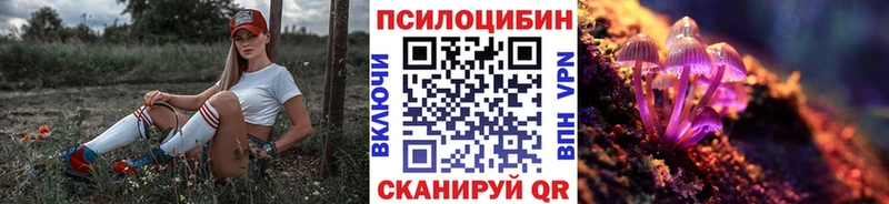 Псилоцибиновые грибы прущие грибы  Дагестанские Огни 